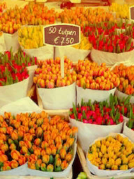 Ciudad de Palabras Ámsterdam Mercado De Flores