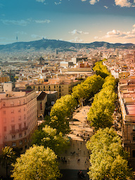 Kelime Gezmece Klasik Barselona Cadde