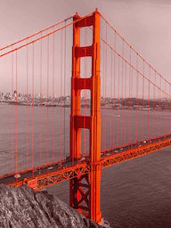 Cidade das Palavras SÃo Francisco Golden Gate