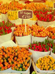 Cidade das Palavras AmsterdÃ Mercado De Flores