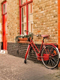 Word City Bruges Bicycle