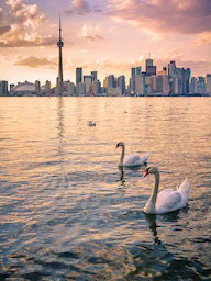 Word City Toronto Sunset