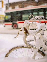 Word City Toronto Snow